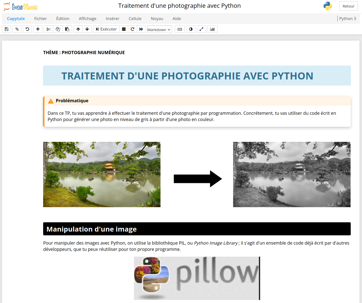 Capture du notebook Python